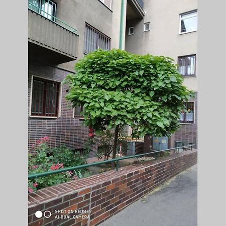 A Cosy Studio In The City Centre Bratislava Luaran gambar