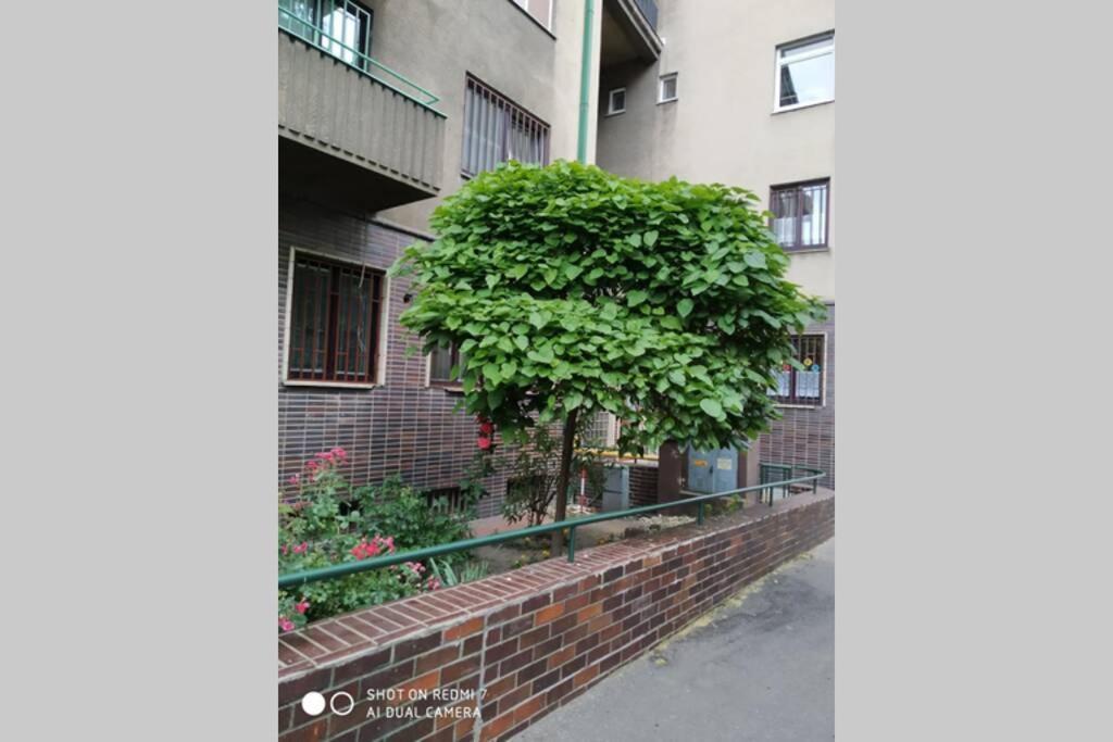 A Cosy Studio In The City Centre Bratislava Luaran gambar
